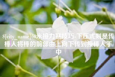 靖边60米接力赛技巧-下压式则是传棒人将棒的前部由上向下传到接棒人手中