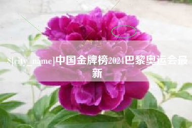 靖边中国金牌榜2024巴黎奥运会最新