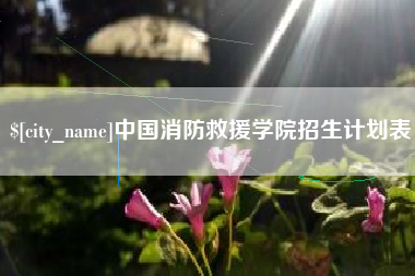靖边中国消防救援学院招生计划表