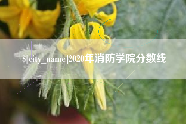 靖边2020年消防学院分数线