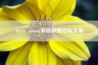 靖边消防救援总队王星