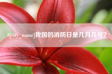 靖边我国的消防日是几月几号？