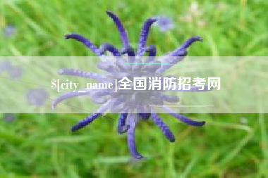 靖边全国消防招考网