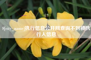 靖边执行信息公开网查询不到被执行人信息