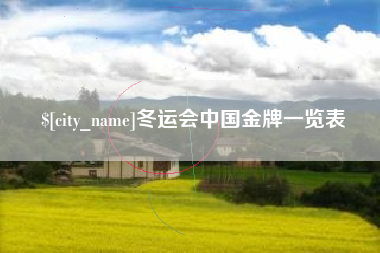 靖边冬运会中国金牌一览表