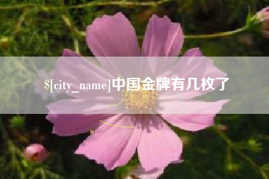 靖边中国金牌有几枚了