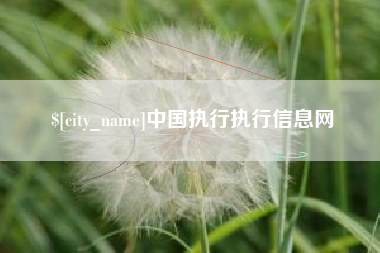 靖边中国执行执行信息网