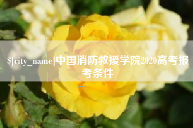 靖边中国消防救援学院2020高考报考条件