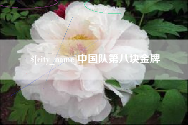 靖边中国队第八块金牌