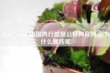 靖边中国执行信息公开网官网app为什么要钱呢