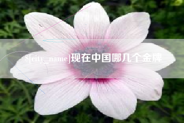 靖边现在中国哪几个金牌