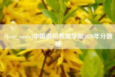靖边中国消防救援学院2020年分数线