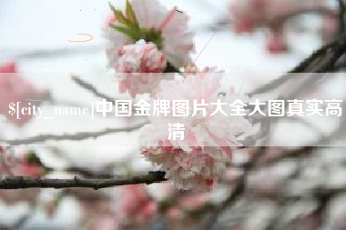 靖边中国金牌图片大全大图真实高清