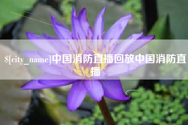 靖边中国消防直播回放中国消防直播