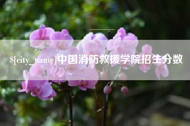 靖边中国消防救援学院招生分数