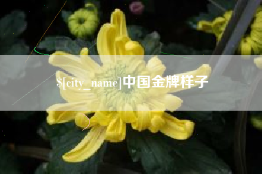 靖边中国金牌样子