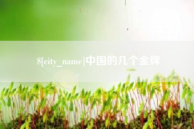 靖边中国的几个金牌
