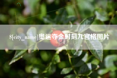 靖边奥运夺金时刻九宫格图片