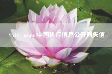 靖边中国执行信息公开网失信