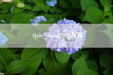 靖边2022九宫