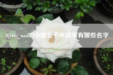 靖边中国五千米冠军有哪些名字