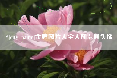 靖边金牌图片大全大图卡通头像