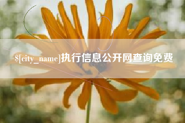 靖边执行信息公开网查询免费