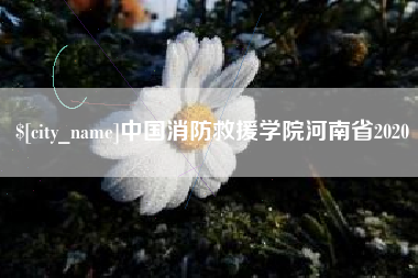 靖边中国消防救援学院河南省2020